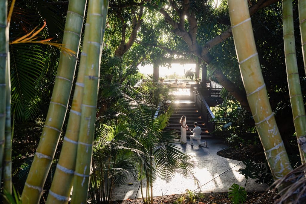 A couple getting engaged at the bottom of the steps of a lookout bungalow and nestled between lots of trees and greenery. The man is on his knee and the woman is looking down at them. The sun is shining in from behind them.