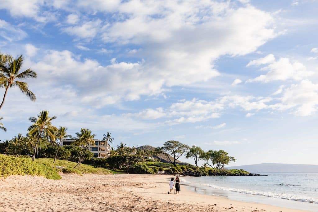 A far away photo of Hector and Alejandra's proposal on the beach. The shore and palm trees lining the sand.