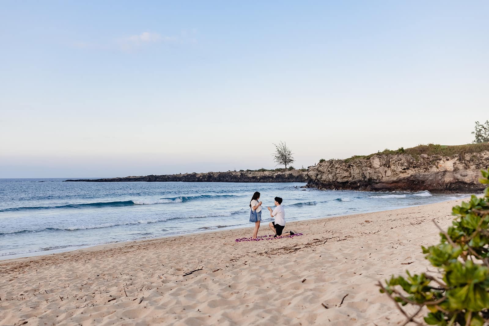 Maui Beach Proposal with Orchids | Aaron and Shunshun | Ironwoods Beach