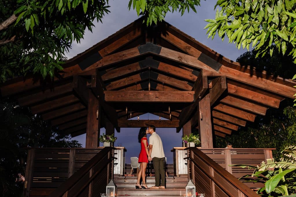 Raynell and Denise at the top of the treehouse steps sharing a kiss as they get ready for their romantic dinner.