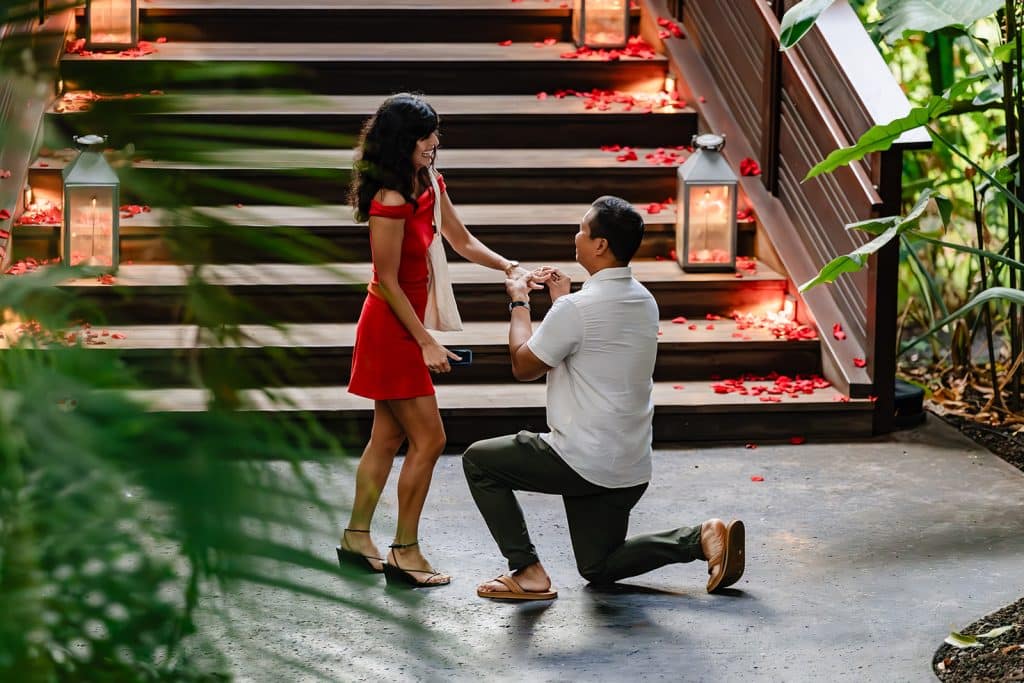 Raynell down on one knee and putting the ring on her finger as Denise laughs in excitement as they are surrounded by candles and rose pedals on the steps behind them.