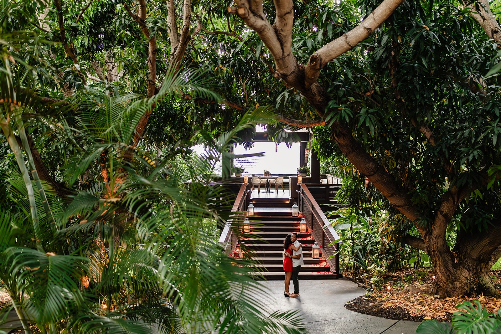 Romantic Tree House Proposal | Raynell and Denise |