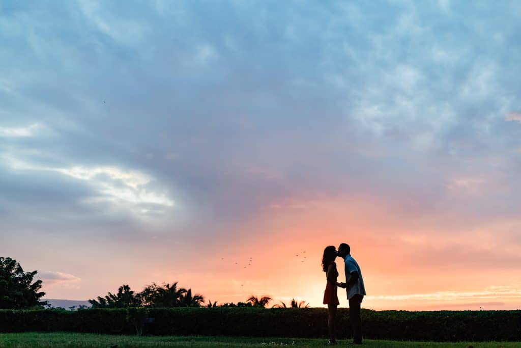 Raynell and Denise's silhouette kissing with the sunset shining behind them. Palm trees and birds are seen in the distance.