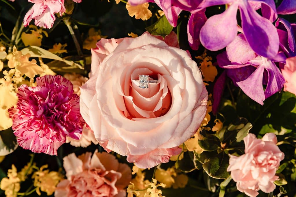 A photo of Joy's princess cut engagement ring sitting in a blush colored rose. Other flowers are surounding the rose.