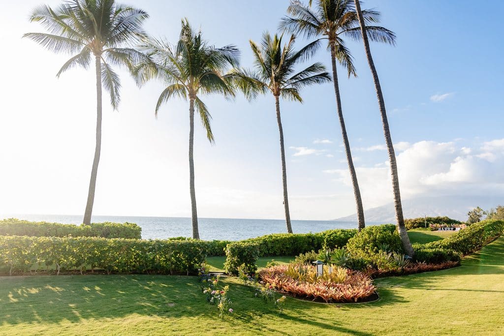 A wide shot of a path lined with flowers that leads to the overlook. The 'Marry Me' letters and florals are the the left of the path and surrounded by shrubbery and palm trees. 